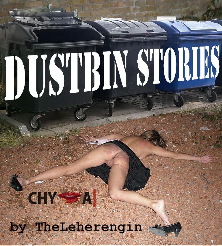 Dustbin Stories.jpg
